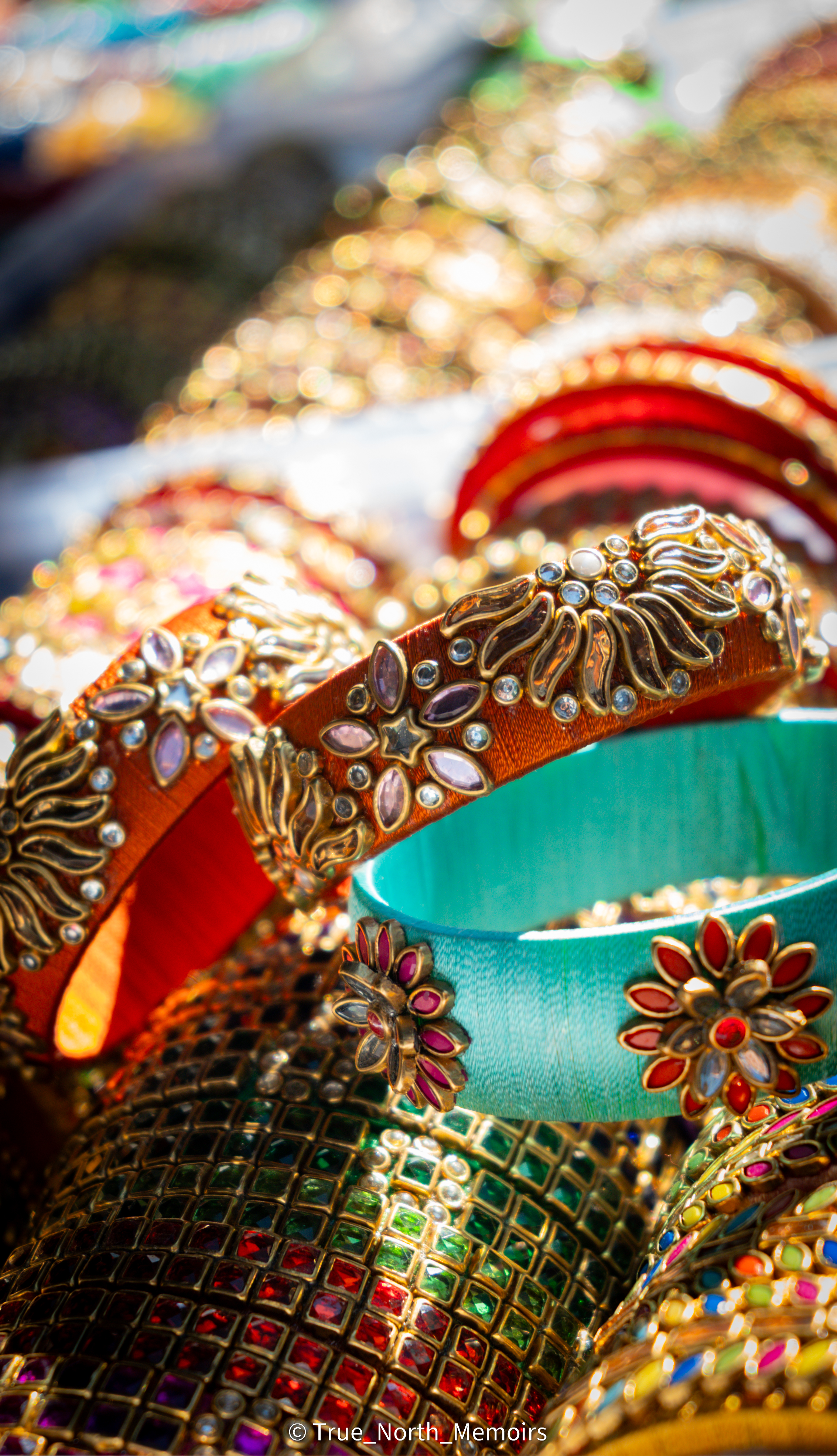 Best Festival - South Asian Cultural Festival, Biggest Festival of Canada 