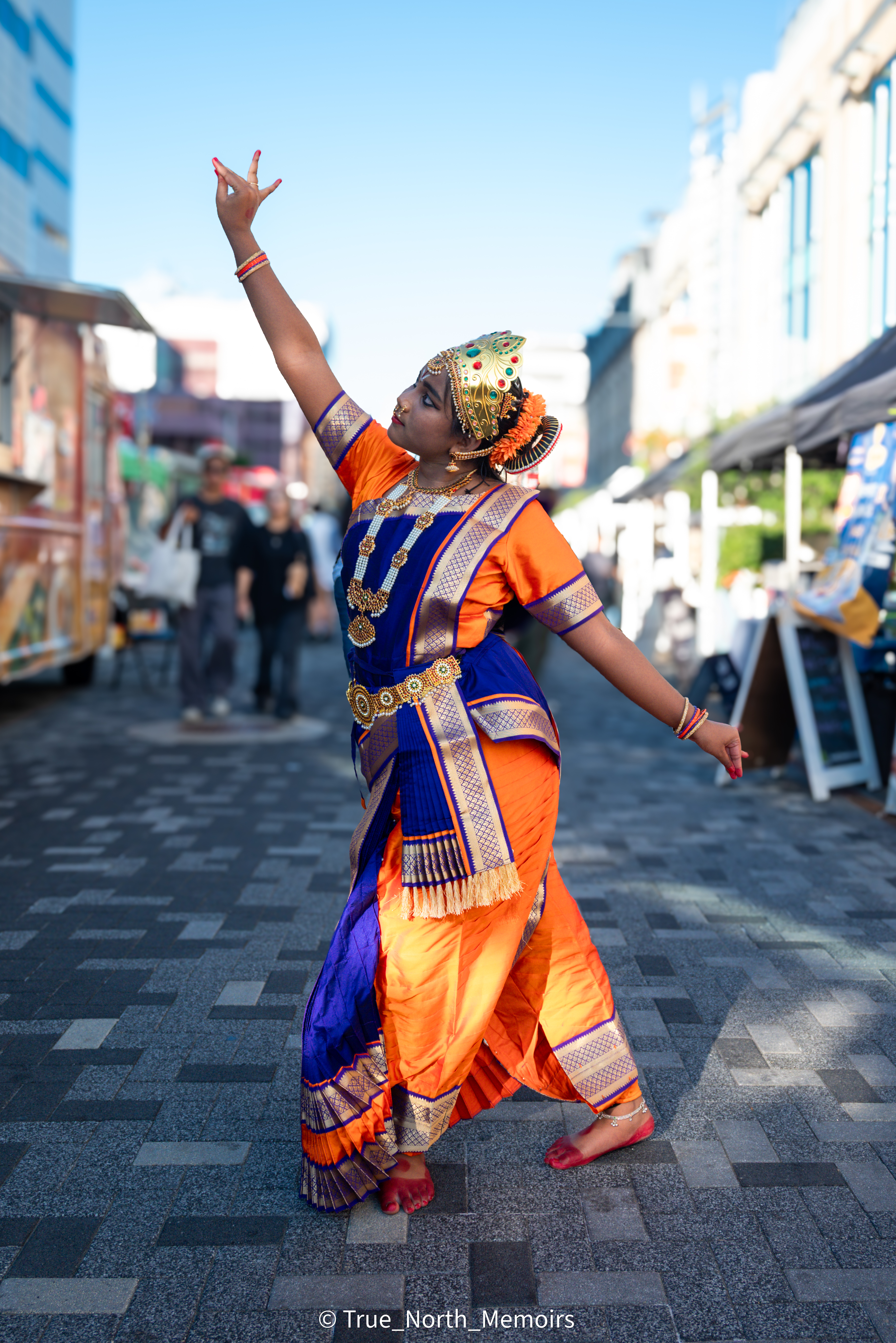 Best Festival - South Asian Cultural Festival, Biggest Festival of Canada 